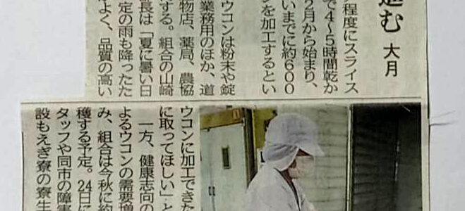 山梨日日新聞で、当社のウコンの加工状況の紹介