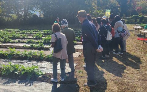 読売観光バスツアー　ダイコン収穫体験＆焼きジャガイモ！