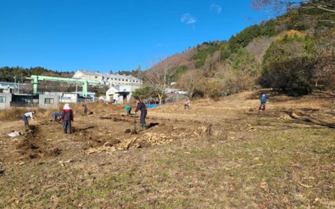 ウコン・ヤーコンの収穫を行いました！